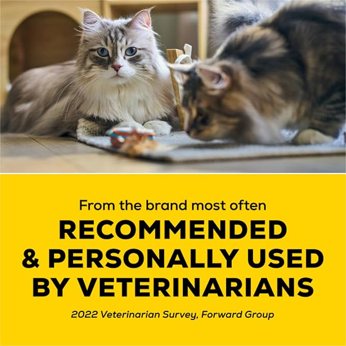 Purina Tidy Cats Performance Plus Feet Unscented Low Tracking, Clumping, Odor Control Kitty Litter   - 22 lb. Box