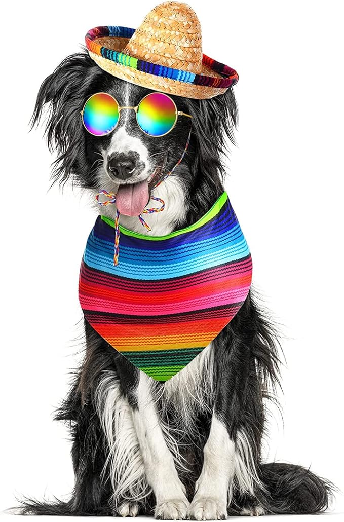 Ramede 3 Pcs Sombrero Hat Pet Mexican Serape Poncho Costume Include Cinco De Mayo Mexican Dog Bandana Fiesta Triangle Bib Summer Round Sunglasses for Small Large Dog Birthday Gift Party Decor Puppy