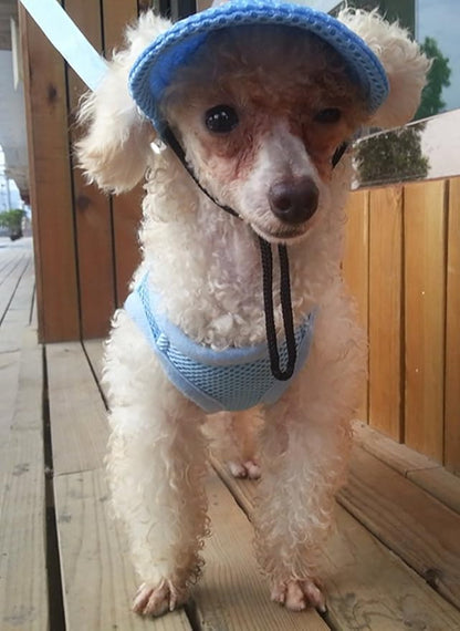 Round Brim Princess Hat Visor Hat Pet Dog Mesh Porous Sun Hat with Ear Holes for Small, Extra Small Dog Teddy, Pug, Chihuahua, Shih Tzu, Yorkshire Terriers, Papillon Blue L