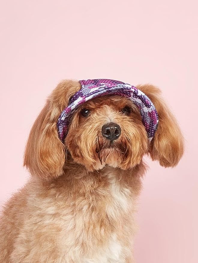 Round Brim Princess Hat Visor Hat Pet Dog Mesh Porous Sun Hat with Ear Holes for Small, Extra Small Dog Teddy, Pug, Chihuahua, Shih Tzu, Yorkshire Terriers, Papillon Z-1-purple S