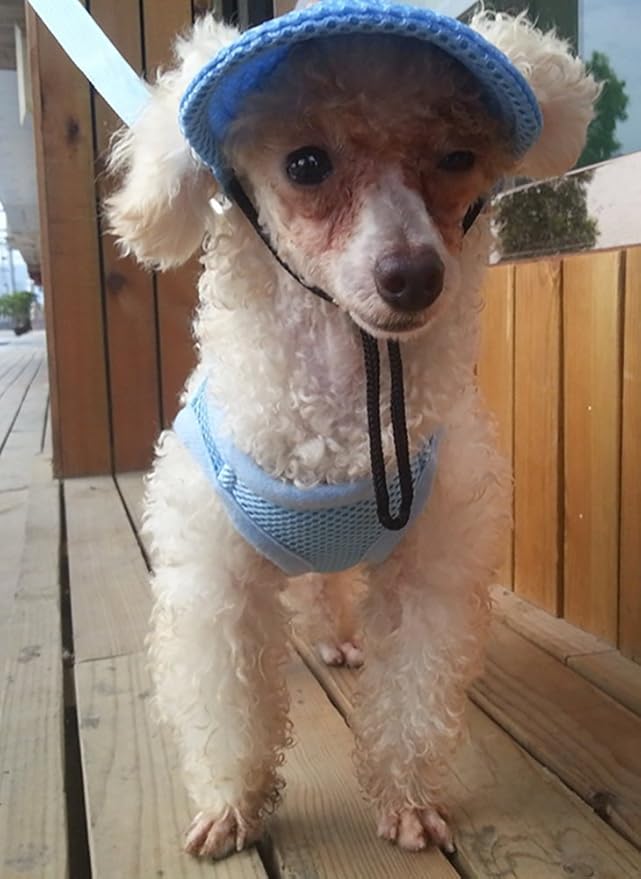 Round Brim Princess Hat Visor Hat Pet Dog Mesh Porous Sun Hat with Ear Holes for Small, Extra Small Dog Teddy, Pug, Chihuahua, Shih Tzu, Yorkshire Terriers, Papillon Blue M