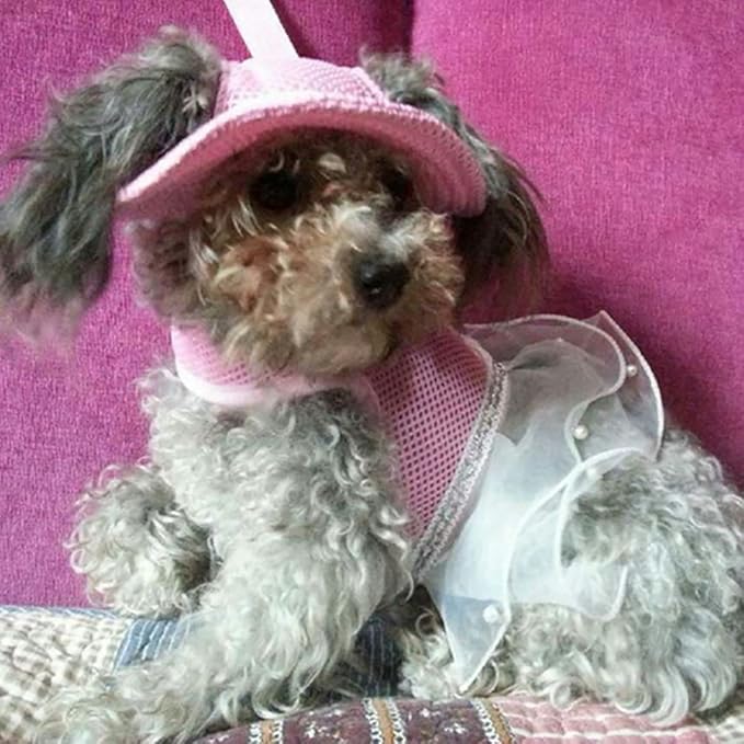 Round Brim Princess Hat Visor Hat Pet Dog Mesh Porous Sun Hat with Ear Holes for Small, Extra Small Dog Teddy, Pug, Chihuahua, Shih Tzu, Yorkshire Terriers, Papillon Pink M