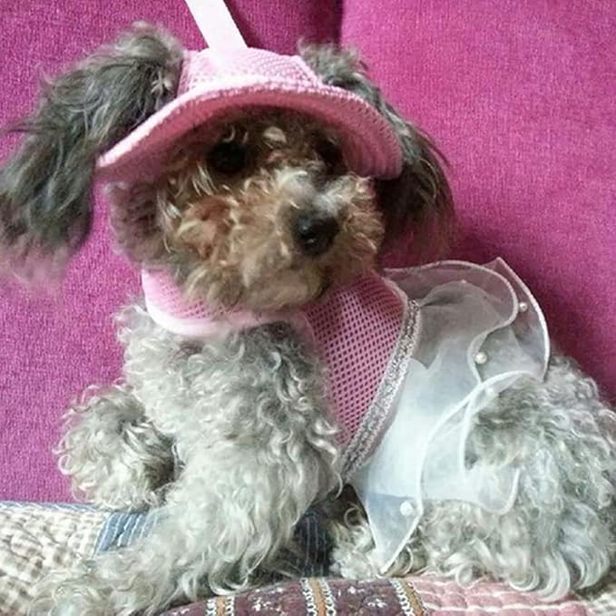 Round Brim Princess Hat Visor Hat Pet Dog Mesh Porous Sun Hat with Ear Holes for Small, Extra Small Dog Teddy, Pug, Chihuahua, Shih Tzu, Yorkshire Terriers, Papillon Pink L