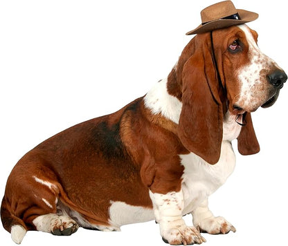 Rubies Cowboy Pet Hat for Dogs or Cats, M/L