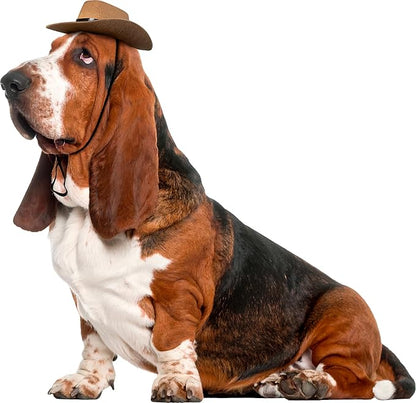 Rubies Cowboy Pet Hat for Dogs or Cats, M/L