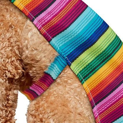 Rubies Serape and Hat Pet Costume Pet Costume for Dogs or Cats, Medium