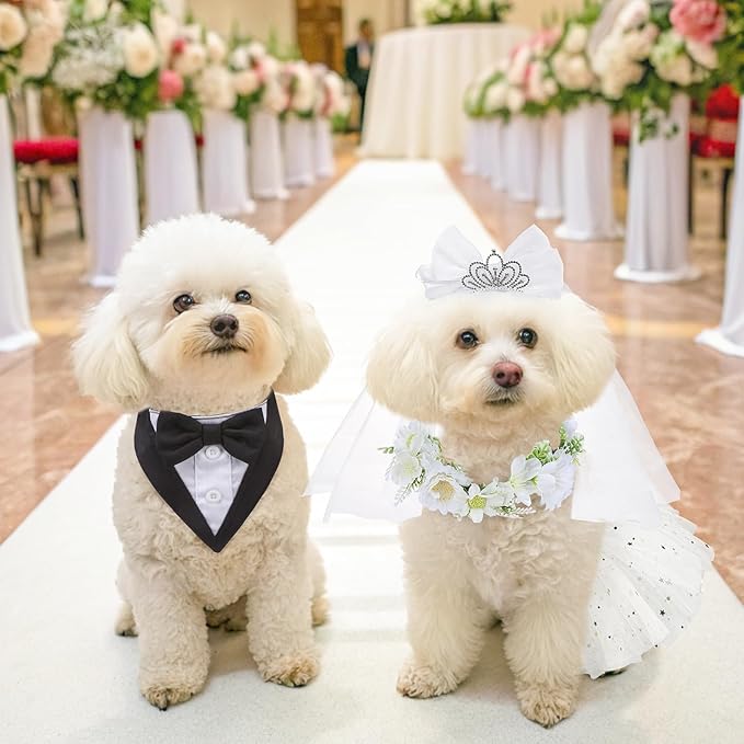 SCENEREAL Small Dog Wedding Dress 4-Piece Set with Tutu Skirt, Bow Veil, Flower Collar and Bandana, My Humans are Getting Married for Small Dogs Cats