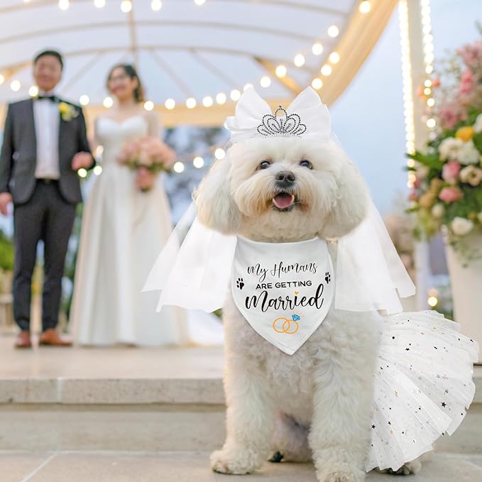 SCENEREAL Small Dog Wedding Dress 4-Piece Set with Tutu Skirt, Bow Veil, Flower Collar and Bandana, My Humans are Getting Married for Small Dogs Cats