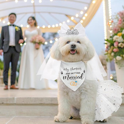 SCENEREAL Small Dog Wedding Dress 4-Piece Set with Tutu Skirt, Bow Veil, Flower Collar and Bandana, My Humans are Getting Married for Small Dogs Cats