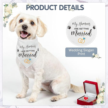 SCENEREAL Small Dog Wedding Dress 4-Piece Set with Tutu Skirt, Bow Veil, Flower Collar and Bandana, My Humans are Getting Married for Small Dogs Cats