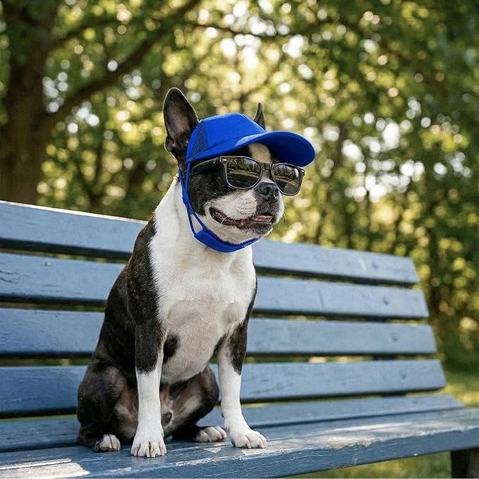 Tuff Pupper Dog Baseball Cap | UV Protection Dog Sun Hat | Breathable Lightweight Design | Secure Adjustable Chin Strap | Quick-Dry Fabric | Reinforced Brim | Small Medium Large Dogs (Blue, S)