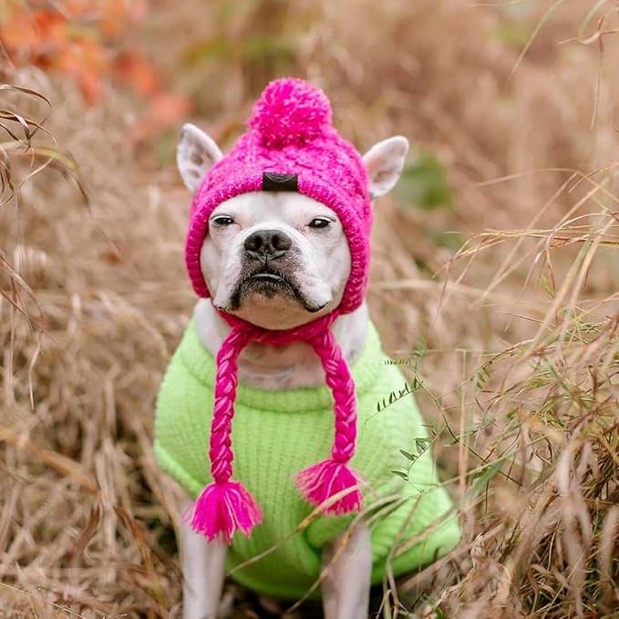 Winter Dog Hat,Knitting Wool Cap,Warm Pet Head Wear with Long Braid Puppy’s Head Accessorie (Purple L)