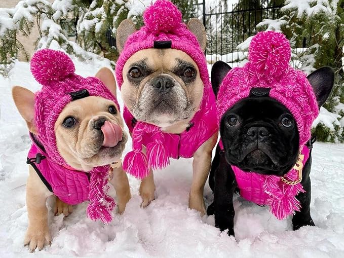 Winter Dog Hat,Knitting Wool Cap,Warm Pet Head Wear with Long Braid Puppy’s Head Accessorie (Purple L)