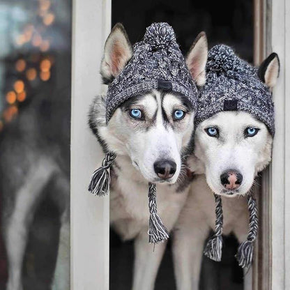 Winter Dog Hat,Knitting Wool Cap,Warm Pet Head Wear with Long Braid Puppy’s Head Accessorie (S)