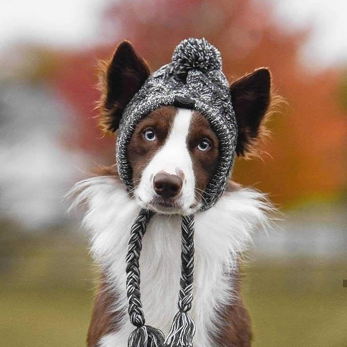 Winter Dog Hat,Knitting Wool Cap,Warm Pet Head Wear with Long Braid Puppy’s Head Accessorie (S)