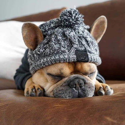 Winter Dog Hat,Knitting Wool Cap,Warm Pet Head Wear with Long Braid Puppy’s Head Accessorie (S)