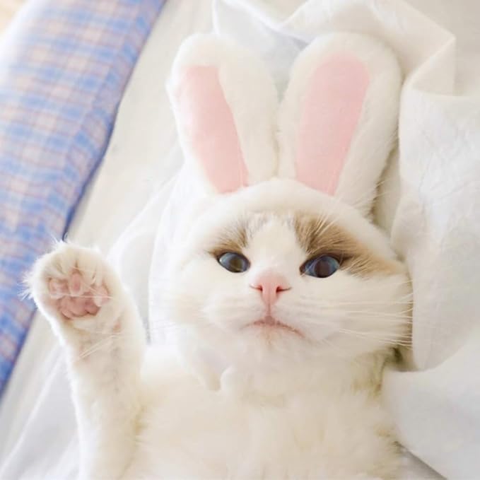 XIMISHOP Cute Costume Bunny Rabbit Hat with Ears for Cats & Small Dogs Party Costume Easter Pet Accessory Headwear