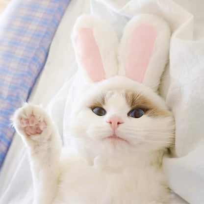 XIMISHOP Cute Costume Bunny Rabbit Hat with Ears for Cats & Small Dogs Party Costume Easter Pet Accessory Headwear